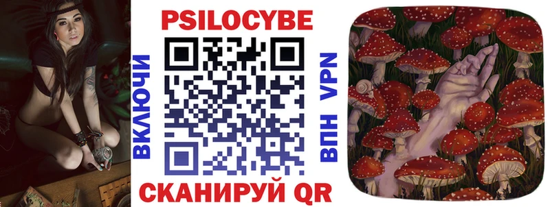 Галлюциногенные грибы Psilocybine cubensis  Аргун 