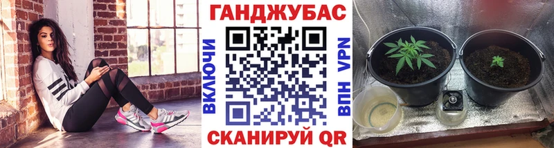 купить  сайты  Аргун  Шишки марихуана марихуана 